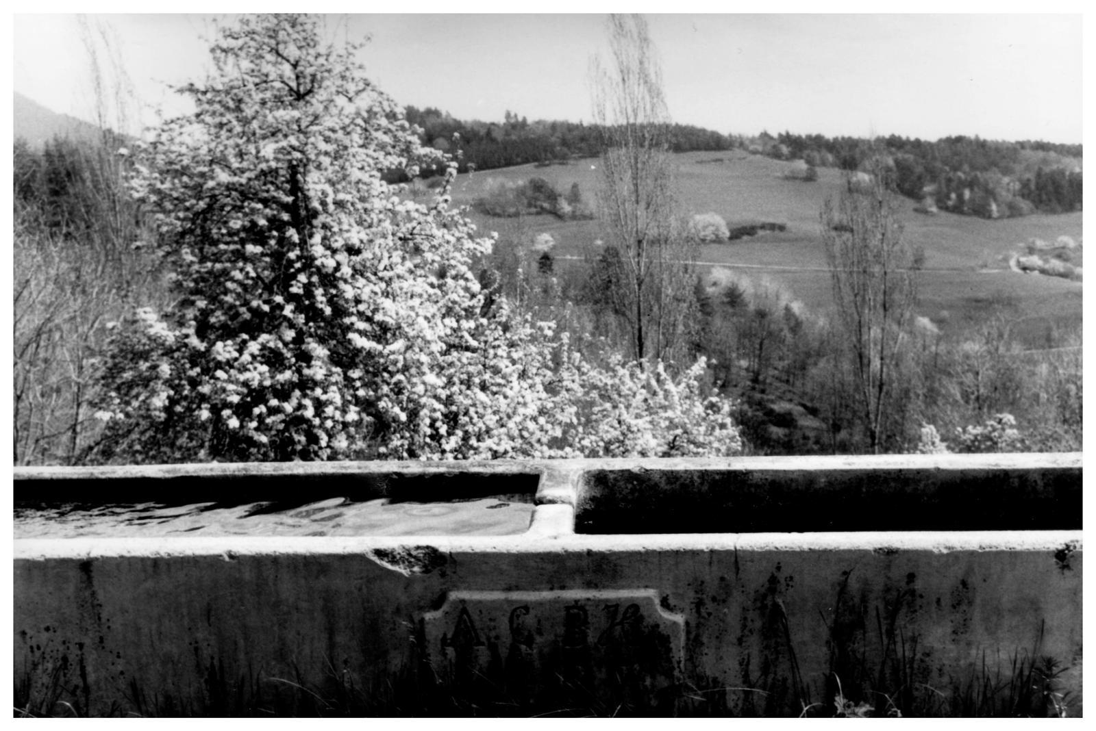 image_texte_chloe_hunzinger