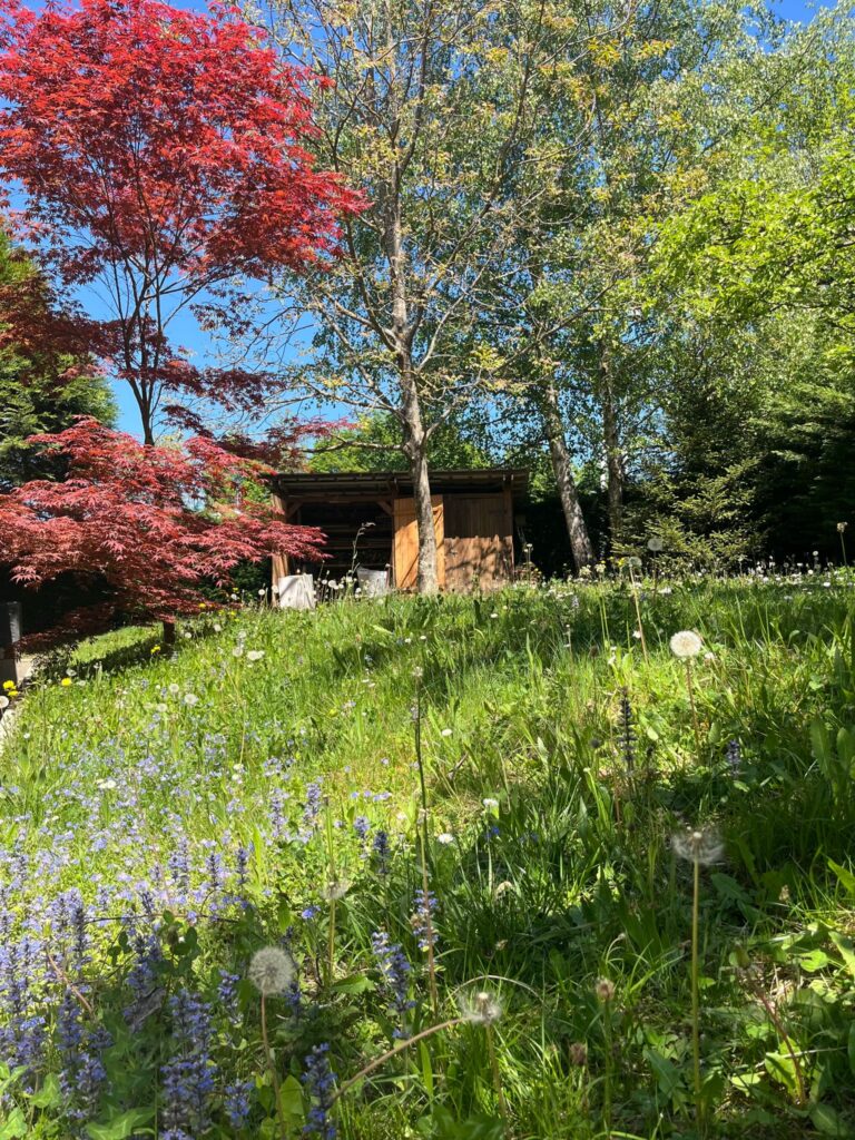 botanique au fil des saison