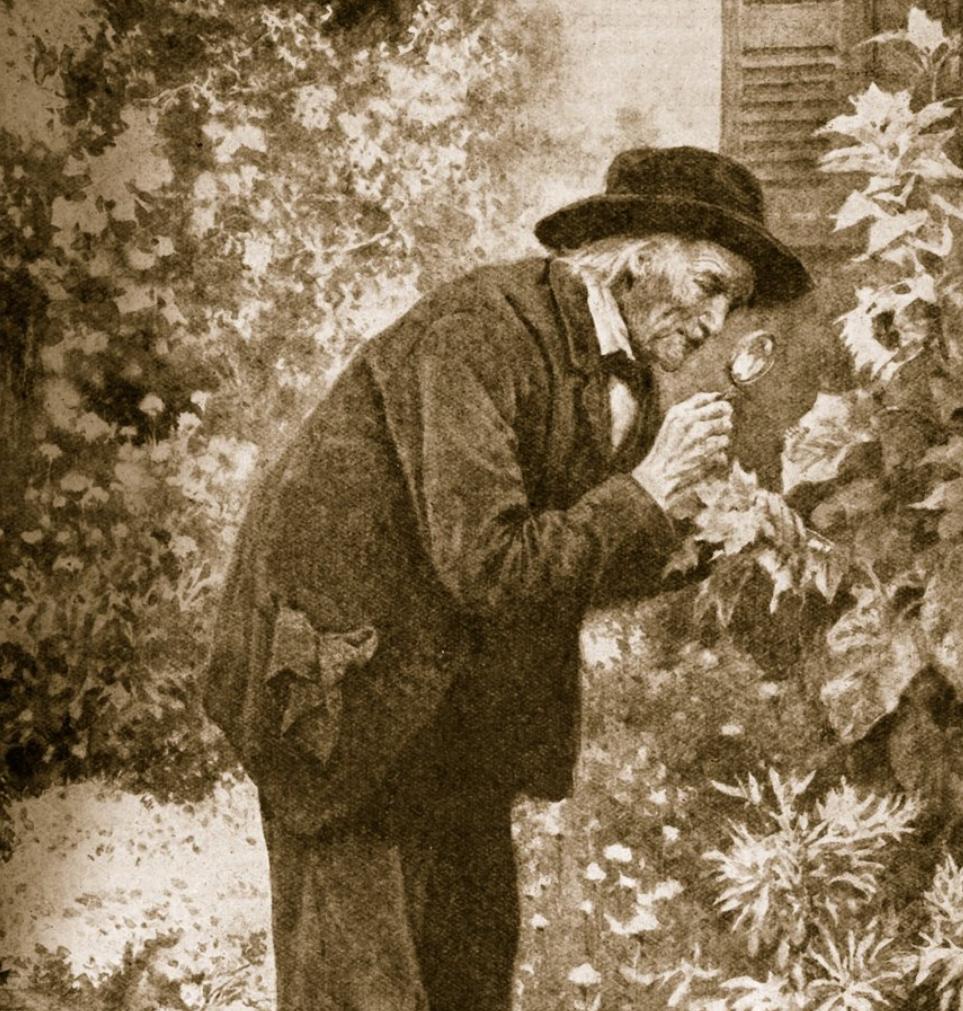 Jean-Henri-Fabre_naturaliste