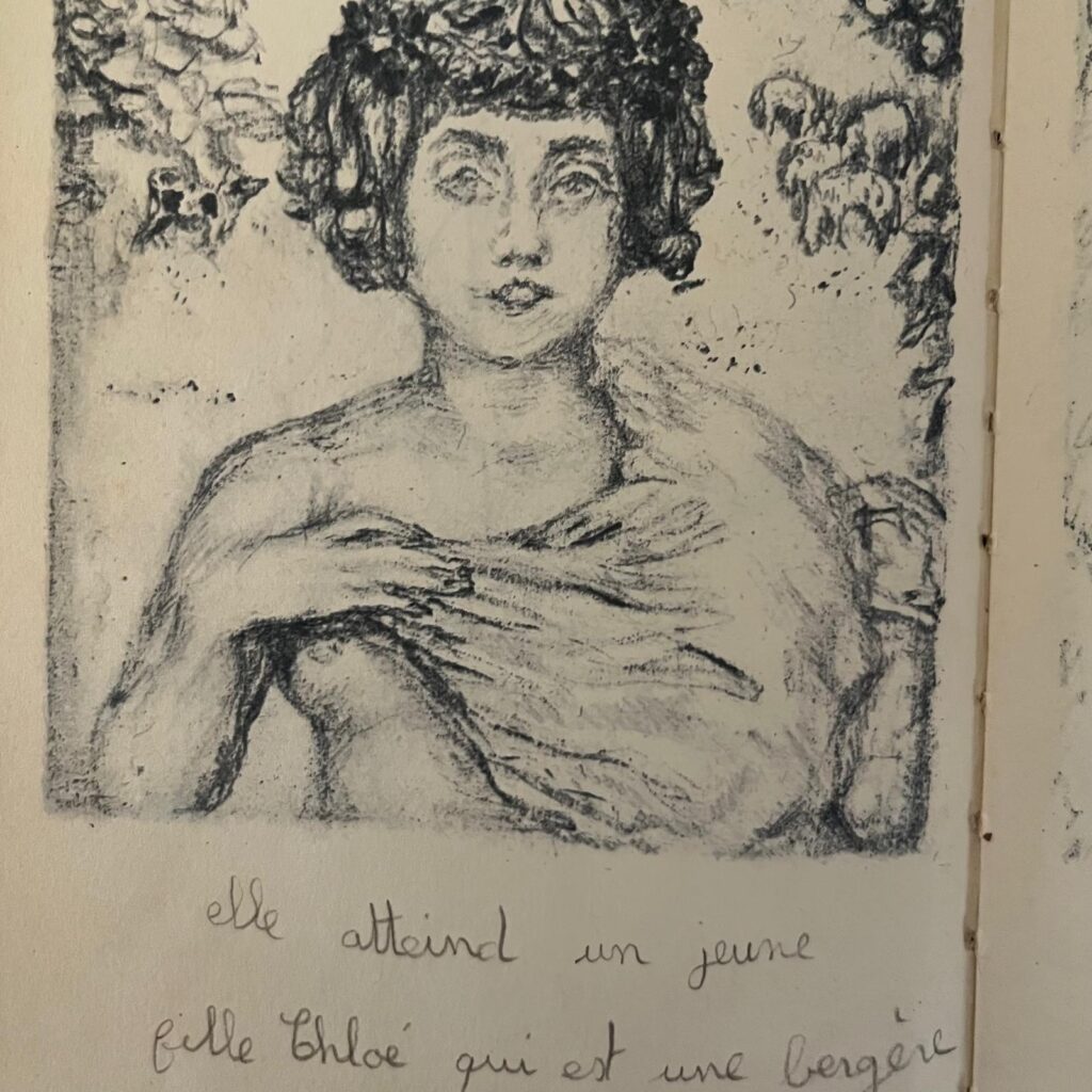extrait_livre_dessins_pierre_bonnard