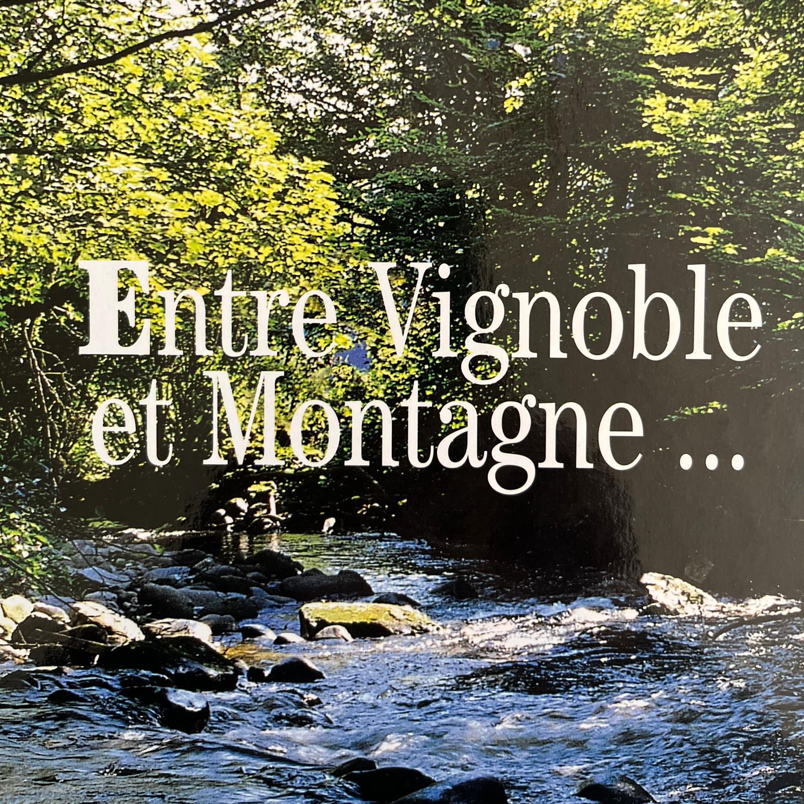 entre vignoble et montagne chloe Hunzinger