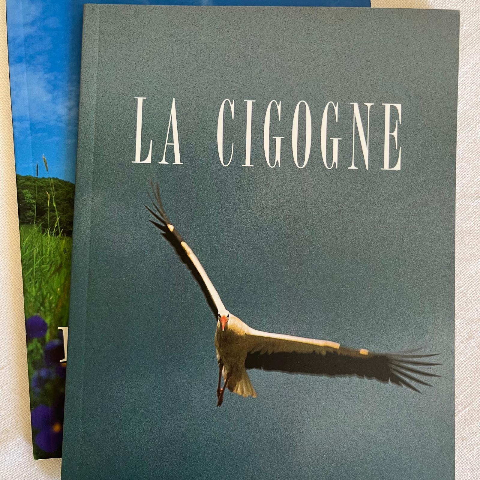 Cigogne par chloe hunzinger