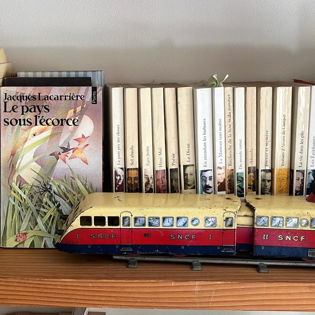 Bibliothèque : voyage immobile